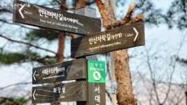 걸으며 봄 마중해 볼까! 울창한 숲 기대되는 안산자락길 | 서울시 - 내 손안에 서울 걸으며 봄 마중해 볼까! 울창한 숲 기대되는 안산자락길