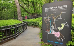철쭉이 피고 나비가 훨훨~ 노원구 명소, 불암산 힐링타운 | 서울시 - 내 손안에 서울 철쭉이 피고 나비가 훨훨~ 노원구 명소, 불암산 힐링타운
