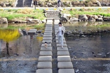 4월엔 불광천~홍제천 꽃길 따라 자전거 여행 떠나볼까! | 서울시 - 내 손안에 서울 4월엔 불광천~홍제천 꽃길 따라 자전거 여행 떠나볼까!