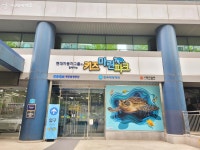 체험하며 배우는 도심 속 바다환경체험관 키즈마린파크 | 서울시 - 내 손안에 서울 체험하며 배우는 도심 속 바다환경체험관 키즈마린파크