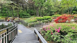 숲에 빠지거나, 책에 빠지거나! 공원 속 봉제산 책쉼터 | 서울시 - 내 손안에 서울 숲에 빠지거나, 책에 빠지거나! 공원 속 봉제산 책쉼터