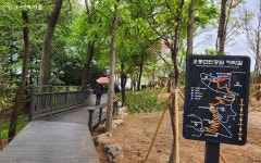 봄비 내린 오동공원 치유의숲길, 차분하게 마음 챙김! | 서울시 - 내 손안에 서울