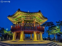 1년에 중 딱 이 계절에만, 샛노란 황금빛으로 변신한 응봉산 | 서울시 - 내 손안에 서울 1년에 중 딱 이 계절에만, 샛노란 황금빛으로 변신한 응봉산