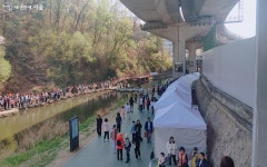 수변감성카페부터 안산까지, 홍제천은 온통 봄빛축제 | 서울시 - 내 손안에 서울 수변감성카페부터 안산까지, 홍제천은 온통 봄빛축제 