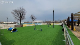 목줄 풀고 뛰어볼까? 반려견과 한강공원 산책간다면 여기! | 서울시 - 내 손안에 서울