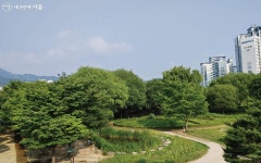 푸릇한 봄! 130종의 꽃 구경할 수 있는 서울창포원 | 서울시 - 내 손안에 서울 푸릇한 봄! 130종의 꽃 구경할 수 있는 서울창포원 