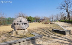 찾아가는 해설이 대세? 이색적인 숲해설 현장 다녀왔어요~ | 서울시 - 내 손안에 서울 찾아가는 해설이 대세? 이색적인 숲해설 현장 다녀왔어요~