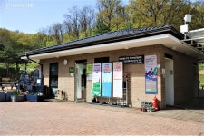 아픈 식물 치료 가능! 이곳 도움 받고 금손이 될 테야! | 서울시 - 내 손안에 서울