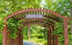 산책길에 건져낸 소확행! 토요일, 양재천에 가야 하는 이유 | 서울시 - 내 손안에 서울 산책길에 건져낸 소확행! 토요일, 양재천에 가야 하는 이유