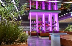 봄밤의 낭만 추억, 책마당 펼쳐진 이곳에서 만드세요! | 서울시 - 내 손안에 서울