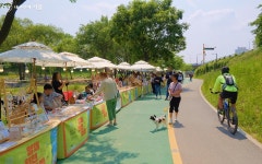 산책길에 건져낸 소확행! 토요일, 양재천에 가야 하는 이유 | 서울시 - 내 손안에 서울 산책길에 건져낸 소확행! 토요일, 양재천에 가야 하는 이유