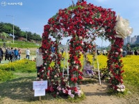 무르익고 있는 '서울장미축제', 예쁨 절정은 언제? | 서울시 - 내 손안에 서울 무르익고 있는 '서울장미축제', 예쁨 절정은 언제?