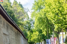 7080 추억거리로 여행 출발~ < 보도자료(상세) < 새소식 | 서울문화포털......  새소식 > 보도자료(상세) > 유행은 돌고 도니까! 7080 추억거리로... 