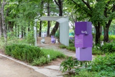 서울숲, 이 계절에 시선 압도하는 특별한 정원이 있다? | 서울시 - 내 손안에 서울 서울숲, 이 계절에 시선 압도하는 특별한 정원이 있다?