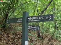 초록 쉼표로 시원하게~ 걷기 편한 수락산으로 초대합니다! | 서울시 - 내 손안에 서울 초록 쉼표로 시원하게~ 걷기 편한 수락산으로 초대합니다!