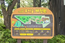 찔레꽃 핀 여름 풍경이 가장 행복해! 오동근린공원 | 서울시 - 내 손안에 서울 찔레꽃 핀 여름 풍경이 가장 행복해! 오동근린공원