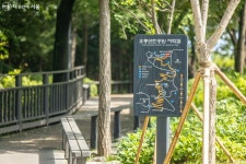 찔레꽃 핀 여름 풍경이 가장 행복해! 오동근린공원 | 서울시 - 내 손안에 서울 찔레꽃 핀 여름 풍경이 가장 행복해! 오동근린공원