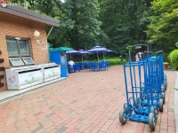 “숲속 캠핑, 멀리 갈 필요 없어요” 강동그린웨이 가족캠핑장 | 서울시 - 내 손안에 서울 “숲속 캠핑, 멀리 갈 필요 없어요” 강동그린웨이... 