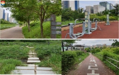 고덕천, 오전엔 산책하고 오후엔 물놀이로 건강한 여름나기! | 서울시 - 내 손안에 서울 고덕천, 오전엔 산책하고 오후엔 물놀이로 건강한 여름나기!