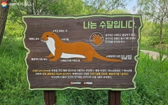 천연기념물 수달을 볼 수 있는 곳? 여의도샛강생태공원 | 서울시 - 내 손안에 서울