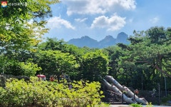 도심 속 작은 워터파크! 서울 물놀이장 여기 어때? | 서울시 - 내 손안에 서울 도심 속 작은 워터파크! 서울 물놀이장 여기 어때?