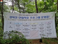 내게 주는 값진 시간, 숲멍 하며 나홀로 즐긴 산림치유 | 서울시 - 내 손안에 서울 내게 주는 값진 시간, 숲멍 하며 나홀로 즐긴 산림치유