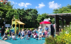 도심 속 작은 워터파크! 서울 물놀이장 여기 어때? | 서울시 - 내 손안에 서울 도심 속 작은 워터파크! 서울 물놀이장 여기 어때?