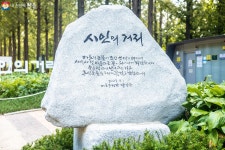 문학 향기 솔솔~ 더 좋아진 하늘공원 메타세쿼이아길을 거닐다!... | 서울시 - 내 손안에 서울 문학 향기 솔솔~ 더 좋아진 하늘공원... 