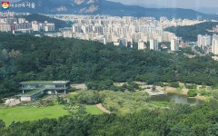 여름, 북서울꿈의숲을 즐기는 세 가지 방법 공개! | 서울시 - 내 손안에 서울