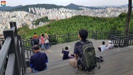 도심 속 힐링, 이런 방법도 있어요~ 봉산 편백나무 힐링숲 | 서울시 - 내 손안에 서울 도심 속 힐링, 이런 방법도 있어요~ 봉산 편백나무 힐링숲