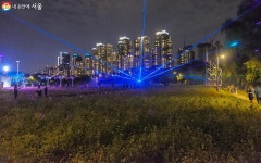 이런 경험은 처음이야! 발길, 눈길 붙잡는 새로운 빛 전시 | 서울시 - 내 손안에 서울 이런 경험은 처음이야! 발길, 눈길 붙잡는 새로운 빛 전시