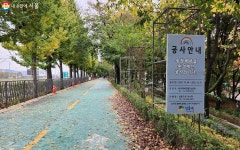붙잡고 싶은 가을! 만끽하기 좋은 단풍길·꽃밭 2곳 추천! | 서울시 - 내 손안에 서울 붙잡고 싶은 가을! 만끽하기 좋은 단풍길·꽃밭 2곳 추천!