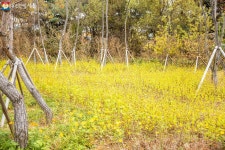 체육공원과 근린공원의 장점만 모아서! 강남세곡체육공원 개장 | 서울시 - 내 손안에 서울 체육공원과 근린공원의 장점만 모아서!... 