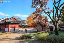 짙은 가을 끝자락을 즐길 수 있는 명당, 성균관 명륜당으로! | 서울시 - 내 손안에 서울 짙은 가을 끝자락을 즐길 수 있는 명당, 성균관 명륜당으로!