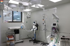 우리집 반려묘 동물복지지원센터 동대문서 입양했다옹~ 치료... 서울 우리집 반려묘 동물복지지원센터 동대문서 입양했다옹~ 치료·교육까지