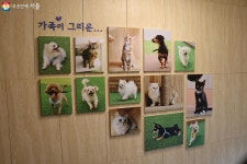 우리집 반려묘 동물복지지원센터 동대문서 입양했다옹~ 치료·교육까지 | 서울시 - 내 손안에 서울 우리집 반려묘 동물복지지원센터 동대문서... 