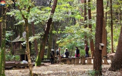 숲~마을벽화~도서관·미술관~든든한끼까지 | 서울시 - 내 손안에 서울 정겨운 삼태기마을 한바퀴! 숲~마을벽화~도서관·미술관~든든한끼까지  