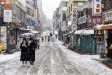 새하얗게, 소복하게…아련한 추억과 낭만이 깃든 마로니에공원 | 서울시 - 내 손안에 서울 새하얗게, 소복하게…아련한 추억과 낭만이 깃든... 
