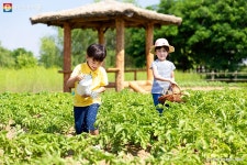 망설이면 순삭! 동행서울 친환경농장 선착순 모집 | 서울시 - 내 손안에 서울 망설이면 순삭! 동행서울 친환경농장 선착순 모집