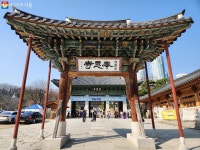 탐매하기 좋은 봉은사, 명상길까지 걸어 봄(春)직 아니한가! | 서울시 - 내 손안에 서울 탐매하기 좋은 봉은사, 명상길까지 걸어 봄(春)직 아니한가!