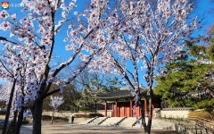 태극기 꽃이 피었습니다 독립운동의 정신 살아 숨쉬는 장소들 | 서울시 - 내 손안에 서울 태극기 꽃이 피었습니다 독립운동의 정신 살아 숨쉬는... 