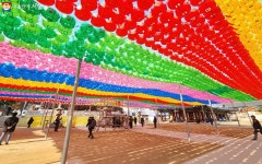 탐매하기 좋은 봉은사, 명상길까지 걸어 봄(春)직 아니한가! | 서울시 - 내 손안에 서울 탐매하기 좋은 봉은사, 명상길까지 걸어 봄(春)직 아니한가!