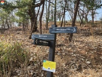 탐매하기 좋은 봉은사, 명상길까지 걸어 봄(春)직 아니한가! | 서울시 - 내 손안에 서울 탐매하기 좋은 봉은사, 명상길까지 걸어 봄(春)직 아니한가!