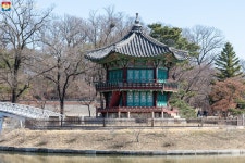 서울의 봄, 경복궁에서 백인제가옥까지 우리 걸어요~ | 서울시 - 내 손안에 서울 서울의 봄, 경복궁에서 백인제가옥까지 우리 걸어요~ 