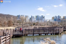 봄이 오는 길목에서…항동 푸른수목원 저수지부터 온실, 철길까지... 서울 봄이 오는 길목에서…항동 푸른수목원 저수지부터 온실, 철길까지  