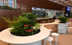 와 감탄이 절로~ 대변신한 서울시청 로비…편하게 놀러 오세요!... | 서울시 - 내 손안에 서울 와 감탄이 절로~ 대변신한 서울시청 로비…편하게... 