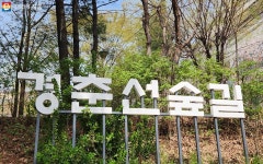 철길 따라 벚꽃 구경, 옛 기차역에서 감성 여행 | 서울시 - 내 손안에 서울 경춘선숲길에서 봄을 만끽! 철길 따라 벚꽃 구경, 옛 기차역에서 감성... 