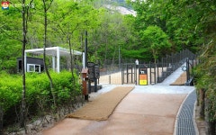 지금 불암산 힐링타운은 온통 분홍빛! 꽃잔치, 체험잔치 열렸네~ | 서울시 - 내 손안에 서울 지금 불암산 힐링타운은... 