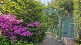 동의보감 속 약초 200여 종 한자리에! 허준박물관 속 숨은 명소 | 서울시 - 내 손안에 서울 동의보감 속 약초 200여 종 한자리에! 허준박물관 속... 