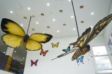 겨울방학 체험으로 딱~ 영등포 곤충체험학습관 | 서울시 - 내 손안에 서울 생생하게, 실감나게! 겨울방학 체험으로 딱~ 영등포 곤충체험학습관